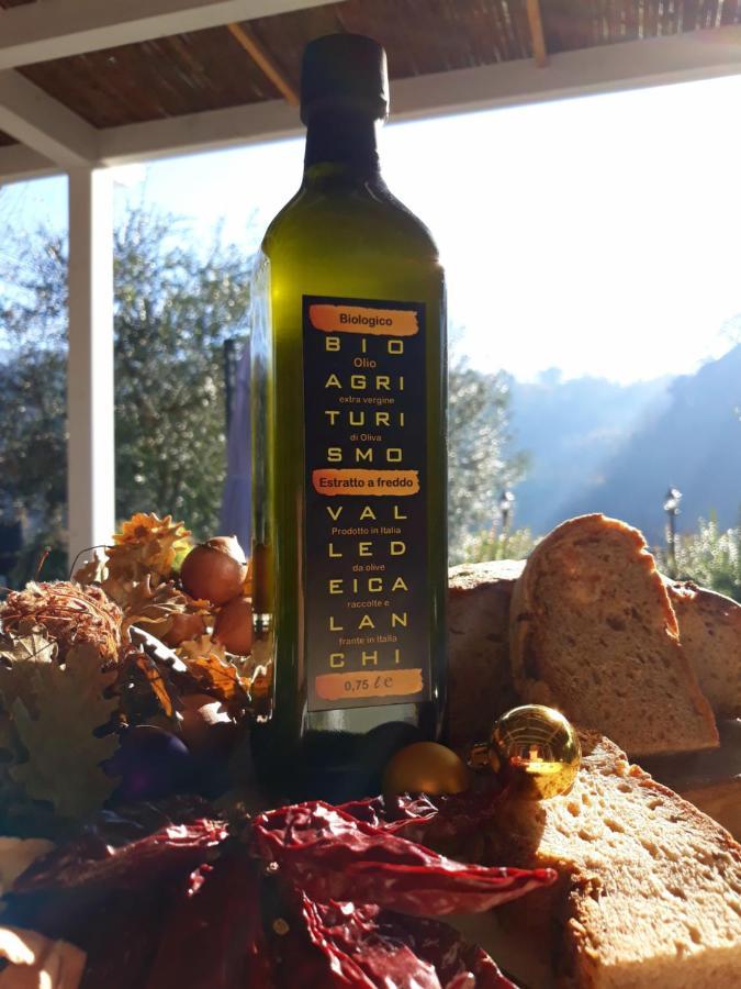 Bio Agriturismo Valle Dei Calanchi Castiglione In Teverina المظهر الخارجي الصورة